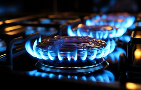 首页 - 菲律宾亚星国际官方网站