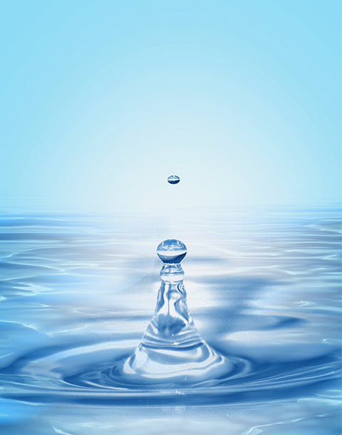 首页 - 菲律宾亚星国际官方网站